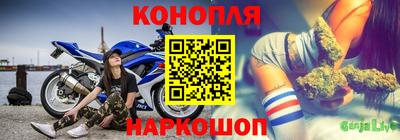 шишки Гусиноозёрск