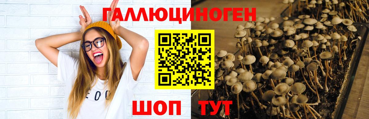 Псилоцибиновые грибы Psilocybine cubensis  Вход с VPN  Нижнекамск 